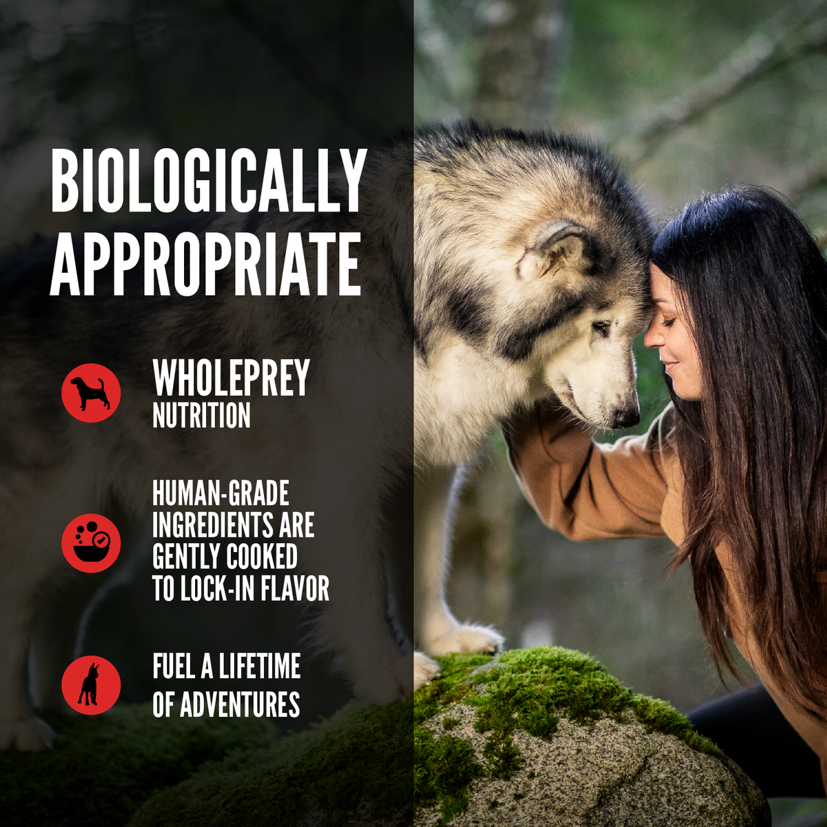 null - Product thumbnail 6.0